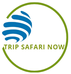 Trip Safari Now