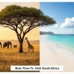Best Time to Visit South Africa for Safaris, Beaches & Budget Travel in 2025